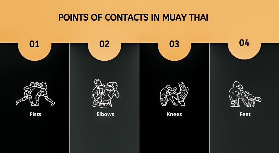 The Objective of a Muay Thai Fight | Ushup