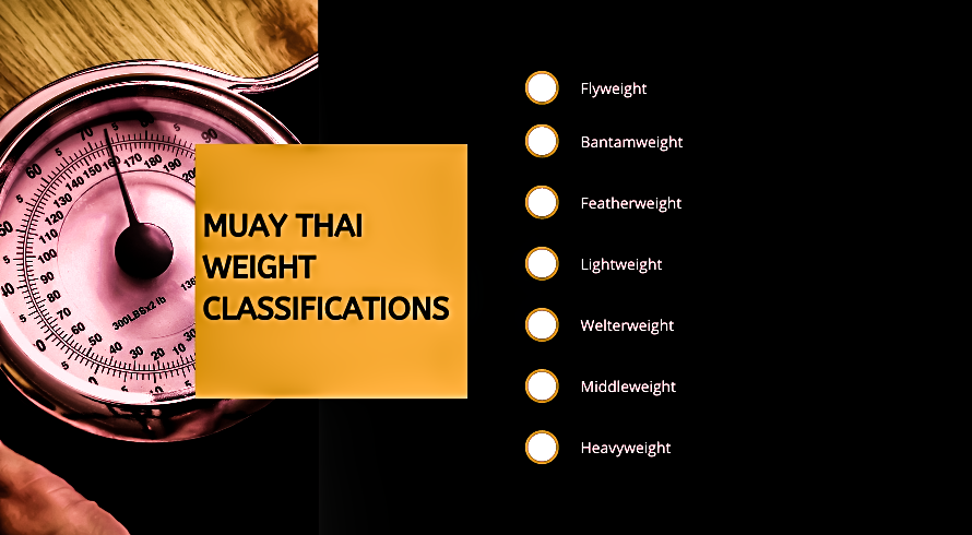 Muay Thai Weight Classes | Ushup