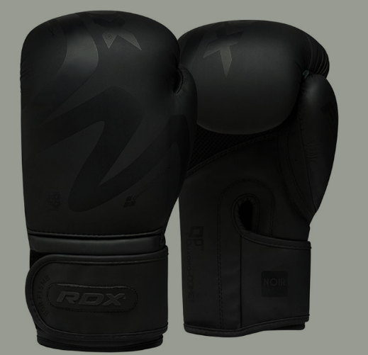  RDX Noir Series Training Gloves | USHUP
