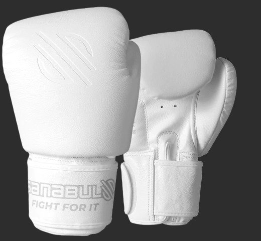 Sanabul Battle Forged Muay Thai Gloves | USHUP