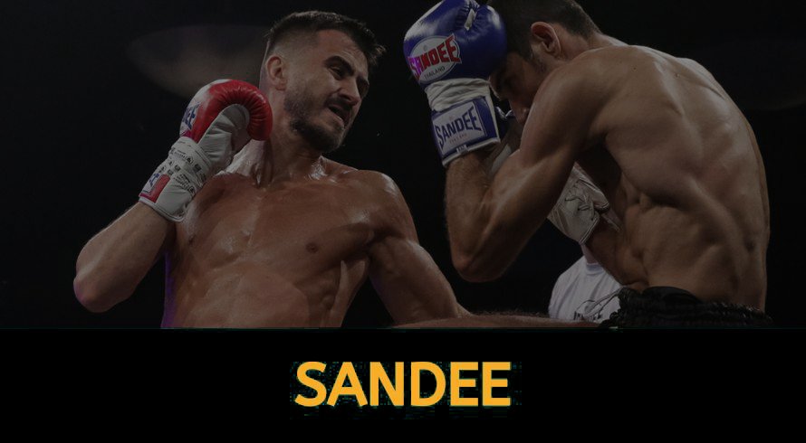 Sandee Boxing | USHUP