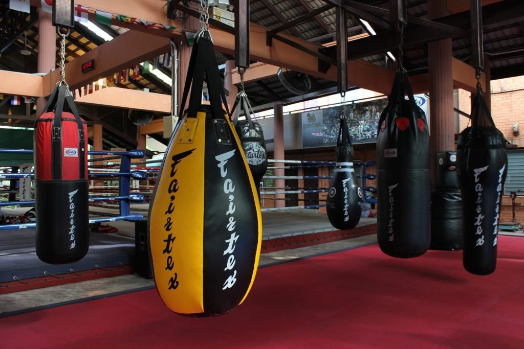 Teardrop Training Bag (For Punches and Elbows) | USHUP