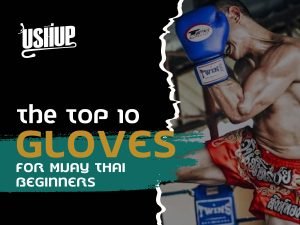 Top 10 Muay Thai Gloves For Beginners | USHUP