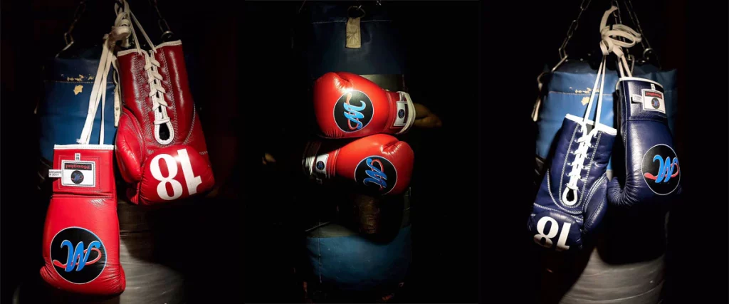Muay Thai Boxing Gloves | USHUP