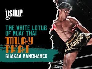 The White Lotus Of Muay Thai Buakaw Banchamek